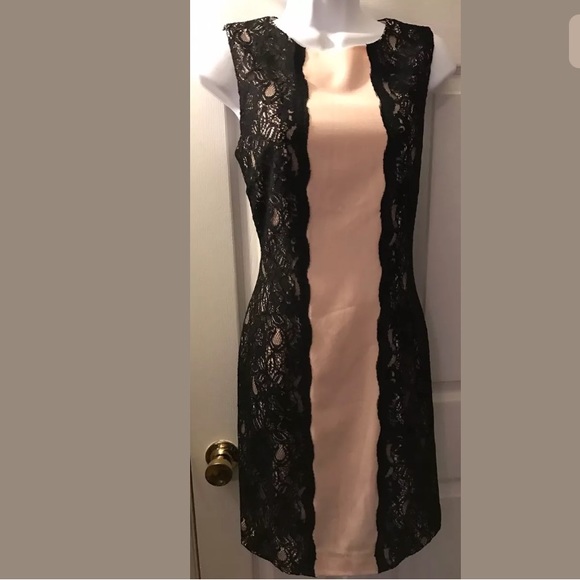 BOSTON PROPER Lace Pink Nude Black Shift Dress Cocktail Wedding - Picture 2 of 10